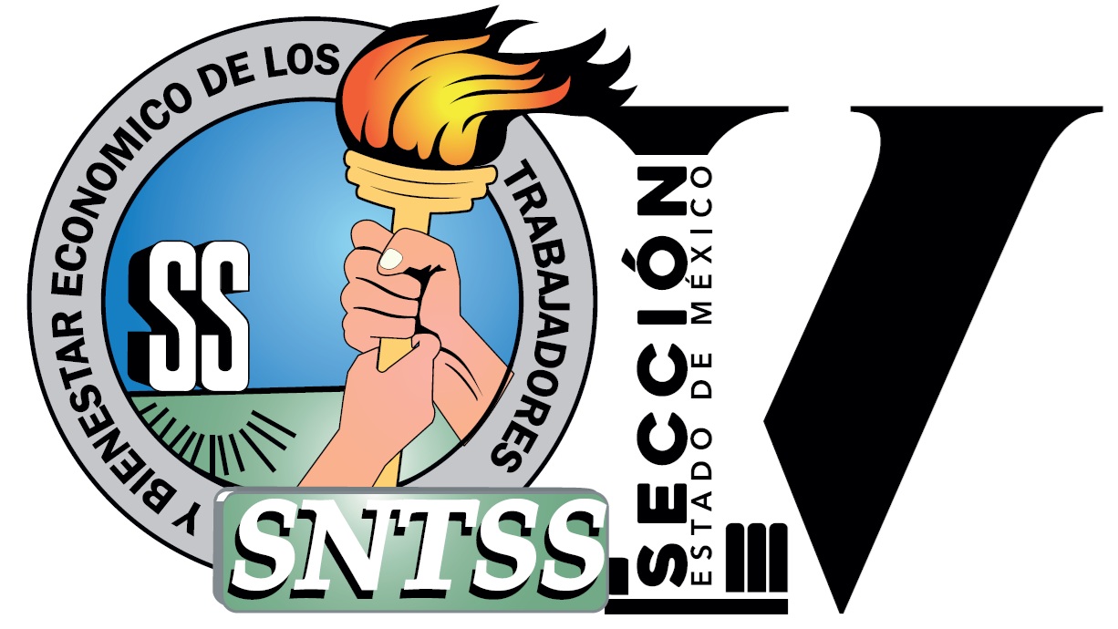 SNTSS Sección V