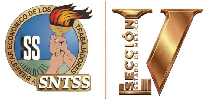 SNTSS Sección V